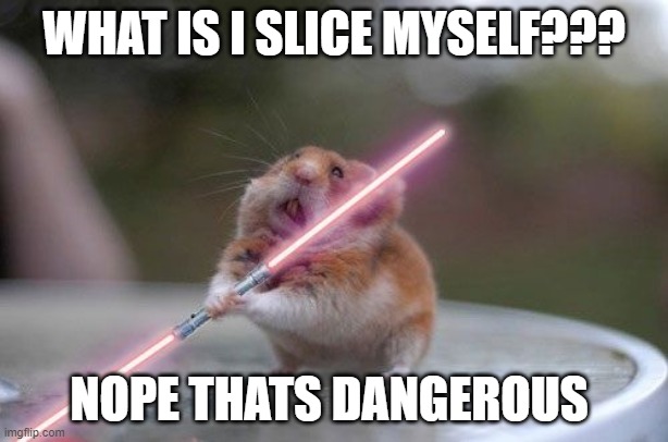 join AnimalLoversStream imgflip.com | WHAT IS I SLICE MYSELF??? NOPE THATS DANGEROUS | image tagged in star wars hamster | made w/ Imgflip meme maker