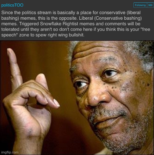 If I wrote this description it might be less combative. But: 389 followers and counting! Doing something right! | image tagged in politicstoo stream description,this morgan freeman | made w/ Imgflip meme maker