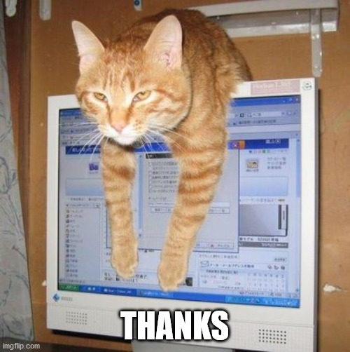 Cat thank you | THANKS | image tagged in cat thank you | made w/ Imgflip meme maker