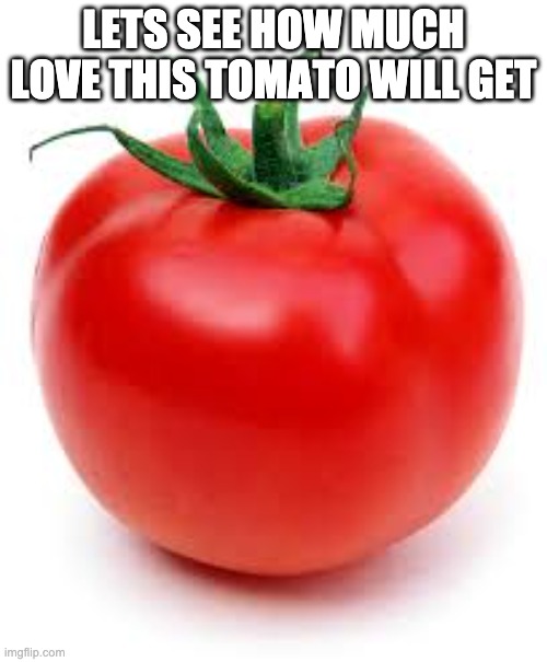 tomato | LETS SEE HOW MUCH LOVE THIS TOMATO WILL GET | image tagged in tomato | made w/ Imgflip meme maker