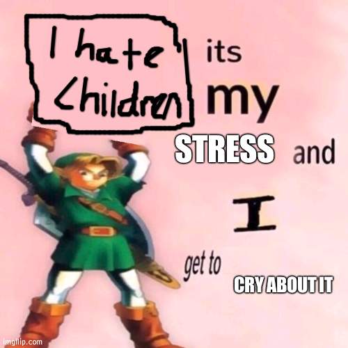 It's my ___ and I get to ____. | STRESS; CRY ABOUT IT | image tagged in it's my ___ and i get to ____ | made w/ Imgflip meme maker
