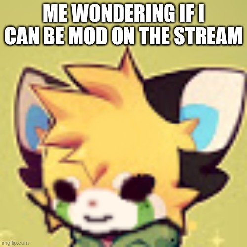 plsss | ME WONDERING IF I CAN BE MOD ON THE STREAM | made w/ Imgflip meme maker