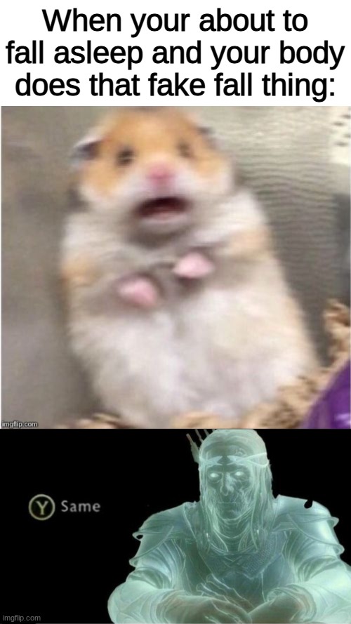 When your about to fall asleep and your body does that fake fall thing: | image tagged in scared hamster,y same better | made w/ Imgflip meme maker