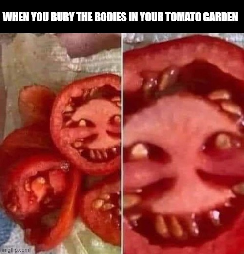 haunted tomato? | WHEN YOU BURY THE BODIES IN YOUR TOMATO GARDEN | image tagged in scary,funny memes,memes | made w/ Imgflip meme maker