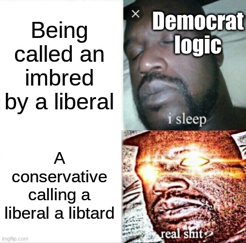 Sleeping Shaq Meme | Being called an imbred by a liberal; Democrat logic; A conservative calling a liberal a libtard | image tagged in memes,sleeping shaq | made w/ Imgflip meme maker