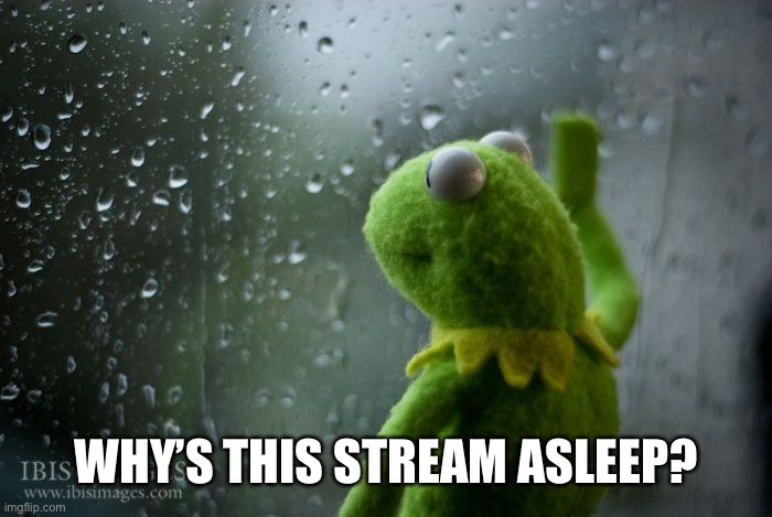 kermit window | WHY’S THIS STREAM ASLEEP? | image tagged in kermit window | made w/ Imgflip meme maker