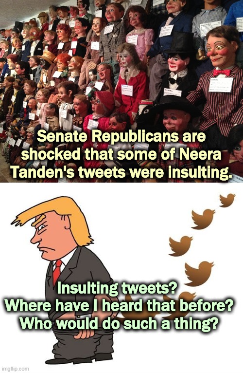 Double standard? Hypocrisy? Convenient amnesia? | Senate Republicans are shocked that some of Neera Tanden's tweets were insulting. Insulting tweets? 
Where have I heard that before? Who would do such a thing? | image tagged in trump,tweets,twitter,hypocrisy,double standards,amnesia | made w/ Imgflip meme maker