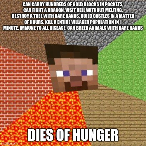 Minecraft Steve | CAN CARRY HUNDREDS OF GOLD BLOCKS IN POCKETS, CAN FIGHT A DRAGON, VISIT HELL WITHOUT MELTING, DESTROY A TREE WITH BARE HANDS, BUILD CASTLES IN A MATTER OF HOURS. KILL A ENTIRE VILLAGER POPULATION IN 1 MINUTE, IMMUNE TO ALL DISEASE, CAN BREED ANIMALS WITH BARE HANDS; DIES OF HUNGER | image tagged in minecraft steve | made w/ Imgflip meme maker
