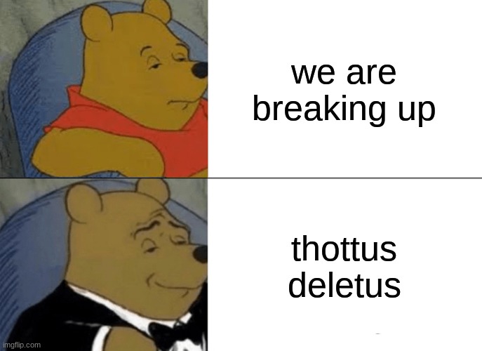 oi | we are breaking up; thottus deletus | image tagged in memes,tuxedo winnie the pooh | made w/ Imgflip meme maker