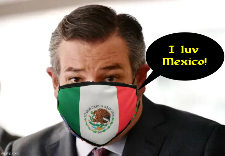 Traveling Ted | image tagged in ted cruz | made w/ Imgflip meme maker