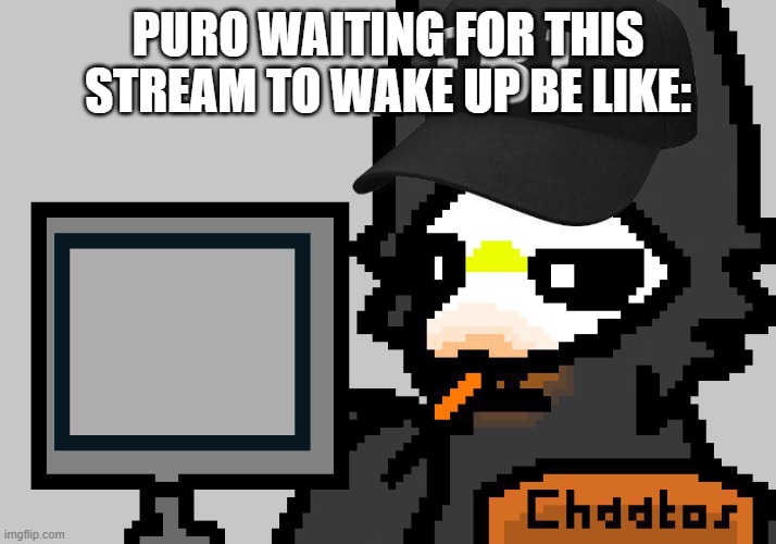 FBI Puro | PURO WAITING FOR THIS STREAM TO WAKE UP BE LIKE: | image tagged in fbi puro | made w/ Imgflip meme maker