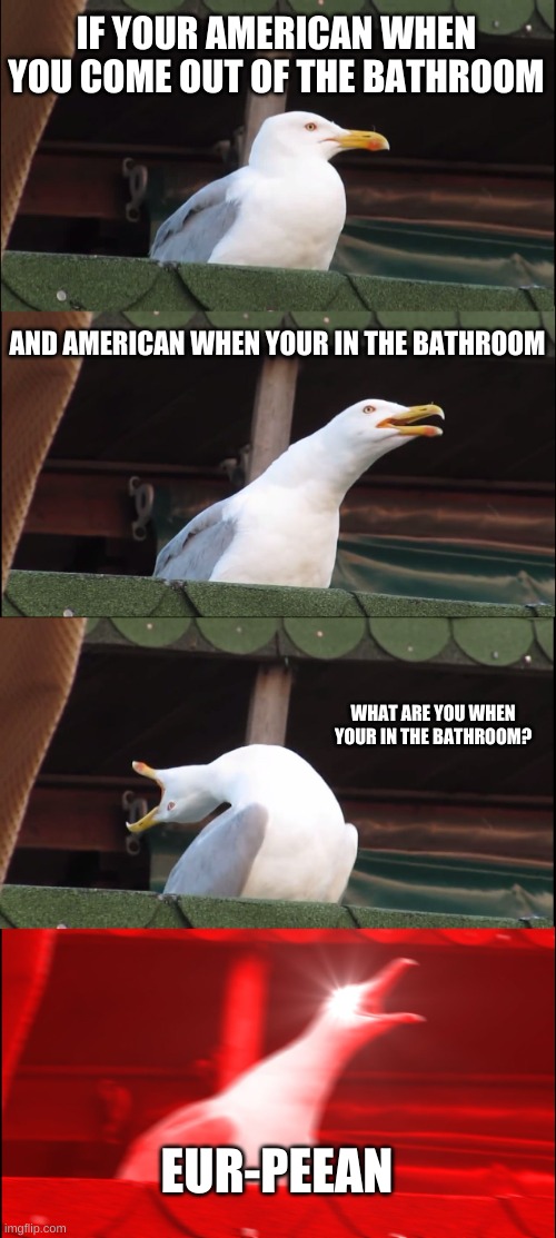 Funny joke go haha | IF YOUR AMERICAN WHEN YOU COME OUT OF THE BATHROOM; AND AMERICAN WHEN YOUR IN THE BATHROOM; WHAT ARE YOU WHEN YOUR IN THE BATHROOM? EUR-PEEAN | image tagged in memes,inhaling seagull | made w/ Imgflip meme maker