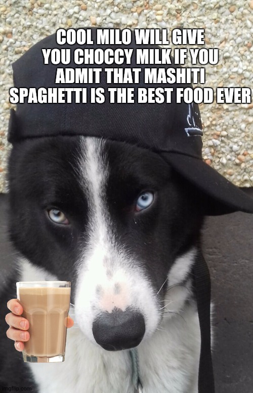 Go ahead U no its true | COOL MILO WILL GIVE YOU CHOCCY MILK IF YOU ADMIT THAT MASHITI SPAGHETTI IS THE BEST FOOD EVER | image tagged in cool milo | made w/ Imgflip meme maker