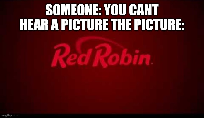 SOMEONE: YOU CANT HEAR A PICTURE THE PICTURE: | image tagged in memes,funny | made w/ Imgflip meme maker