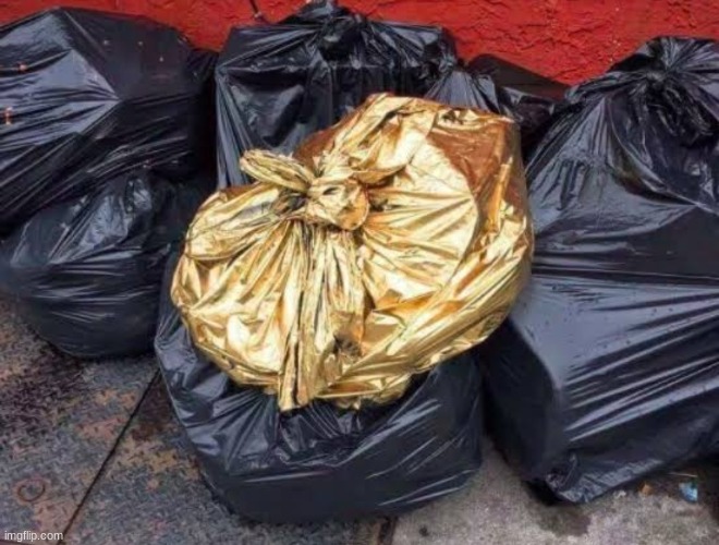 Golden Trash | image tagged in golden trash | made w/ Imgflip meme maker