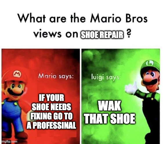 Mario Bros Views | SHOE REPAIR; IF YOUR SHOE NEEDS FIXING GO TO A PROFESSINAL; WAK THAT SHOE | image tagged in mario bros views | made w/ Imgflip meme maker