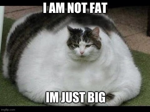fatcat |  I AM NOT FAT; IM JUST BIG | image tagged in fatcat | made w/ Imgflip meme maker