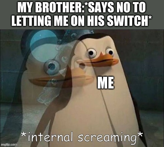 Private Internal Screaming | MY BROTHER:*SAYS NO TO LETTING ME ON HIS SWITCH*; ME | image tagged in rico internal screaming | made w/ Imgflip meme maker