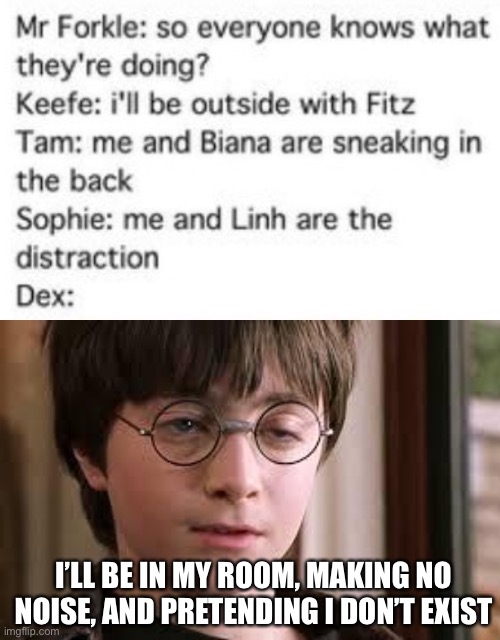 I’LL BE IN MY ROOM, MAKING NO NOISE, AND PRETENDING I DON’T EXIST | image tagged in harry potter stoned | made w/ Imgflip meme maker