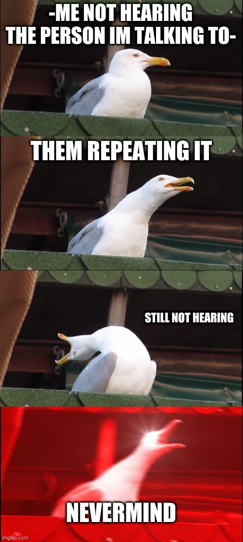 This is me actually XD | -ME NOT HEARING THE PERSON IM TALKING TO-; THEM REPEATING IT; STILL NOT HEARING; NEVERMIND | image tagged in memes,inhaling seagull | made w/ Imgflip meme maker