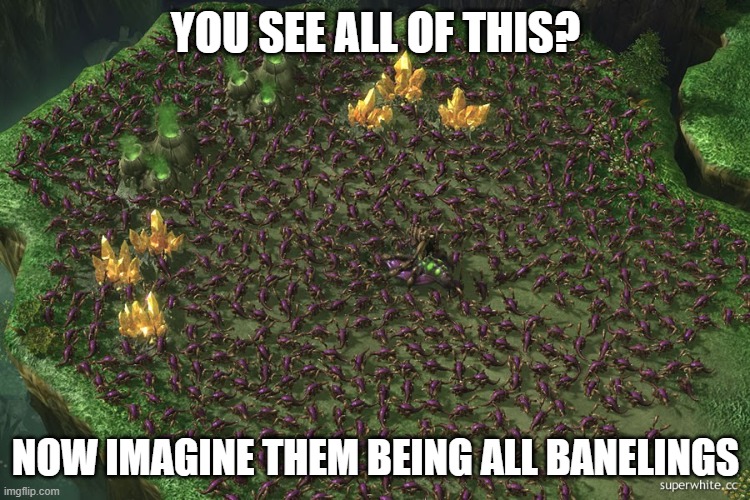 Ling Swarm | YOU SEE ALL OF THIS? NOW IMAGINE THEM BEING ALL BANELINGS | image tagged in ling swarm | made w/ Imgflip meme maker