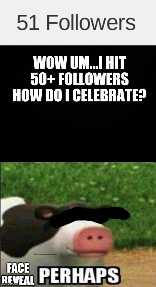 WOW UM...I HIT 50+ FOLLOWERS HOW DO I CELEBRATE? FACE REVEAL | image tagged in black background,perhaps cow | made w/ Imgflip meme maker