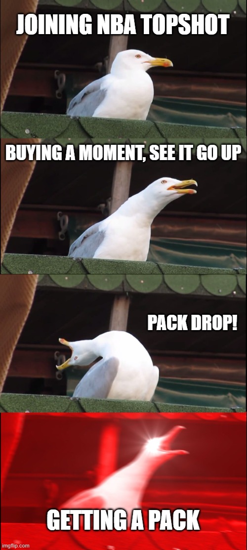 Inhaling Seagull Meme | JOINING NBA TOPSHOT; BUYING A MOMENT, SEE IT GO UP; PACK DROP! GETTING A PACK | image tagged in memes,inhaling seagull | made w/ Imgflip meme maker