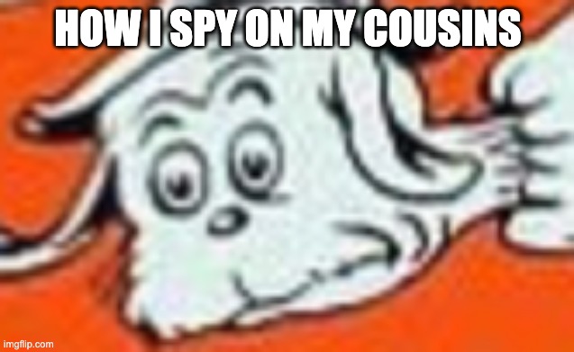 i see u ... | HOW I SPY ON MY COUSINS | image tagged in idk,stream snipe,spying | made w/ Imgflip meme maker