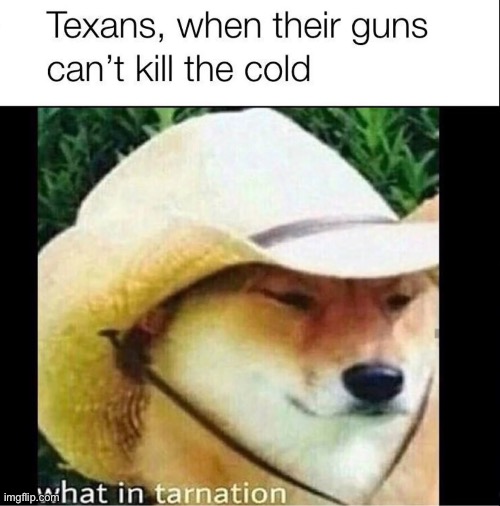 What in tarnation | image tagged in funny,texas | made w/ Imgflip meme maker