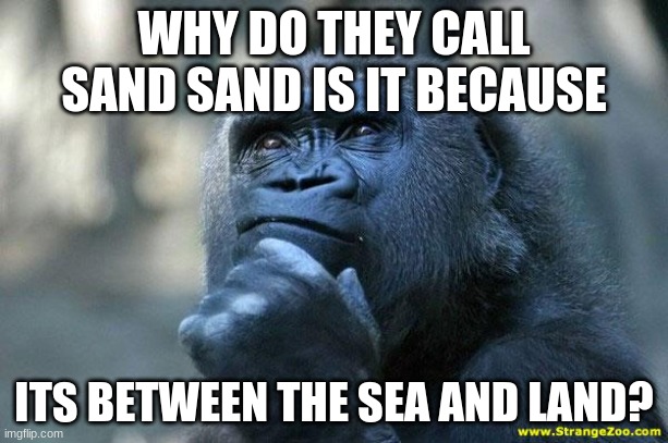 Deep Thoughts | WHY DO THEY CALL SAND SAND IS IT BECAUSE; ITS BETWEEN THE SEA AND LAND? | image tagged in deep thoughts | made w/ Imgflip meme maker