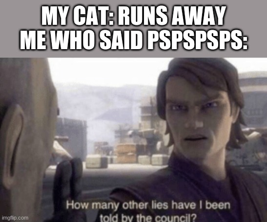 True tho | MY CAT: RUNS AWAY
ME WHO SAID PSPSPSPS: | image tagged in how many other lies have i been told by the council,cat | made w/ Imgflip meme maker