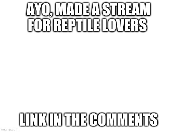 Blank White Template | AYO, MADE A STREAM FOR REPTILE LOVERS; LINK IN THE COMMENTS | image tagged in blank white template | made w/ Imgflip meme maker