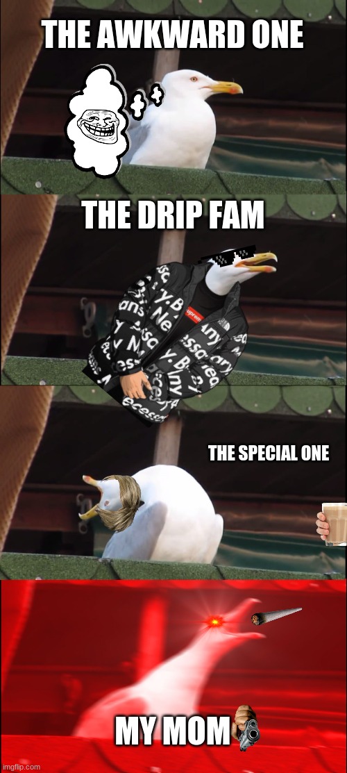 my mom | THE AWKWARD ONE; THE DRIP FAM; THE SPECIAL ONE; MY MOM | image tagged in memes,inhaling seagull | made w/ Imgflip meme maker