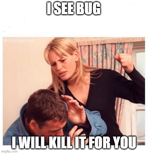 Abusive gf | I SEE BUG; I WILL KILL IT FOR YOU | image tagged in abusive gf | made w/ Imgflip meme maker