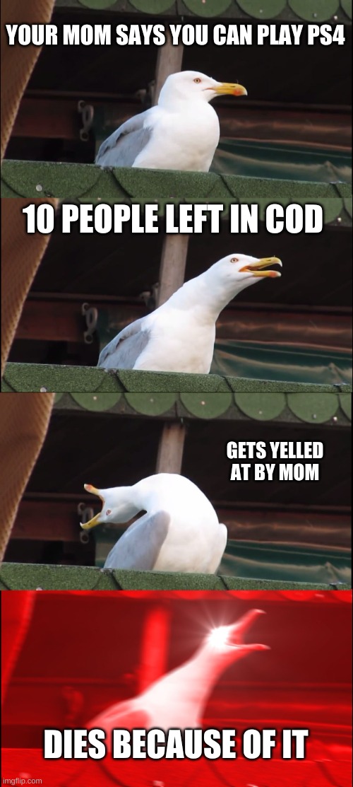 no mom | YOUR MOM SAYS YOU CAN PLAY PS4; 10 PEOPLE LEFT IN COD; GETS YELLED AT BY MOM; DIES BECAUSE OF IT | image tagged in memes,inhaling seagull | made w/ Imgflip meme maker