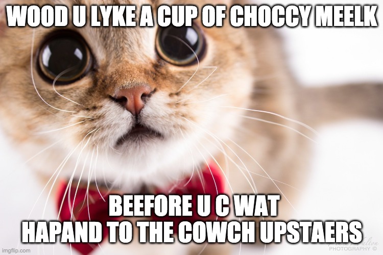 bye cat | WOOD U LYKE A CUP OF CHOCCY MEELK; BEEFORE U C WAT HAPAND TO THE COWCH UPSTAERS | image tagged in memes,cats | made w/ Imgflip meme maker