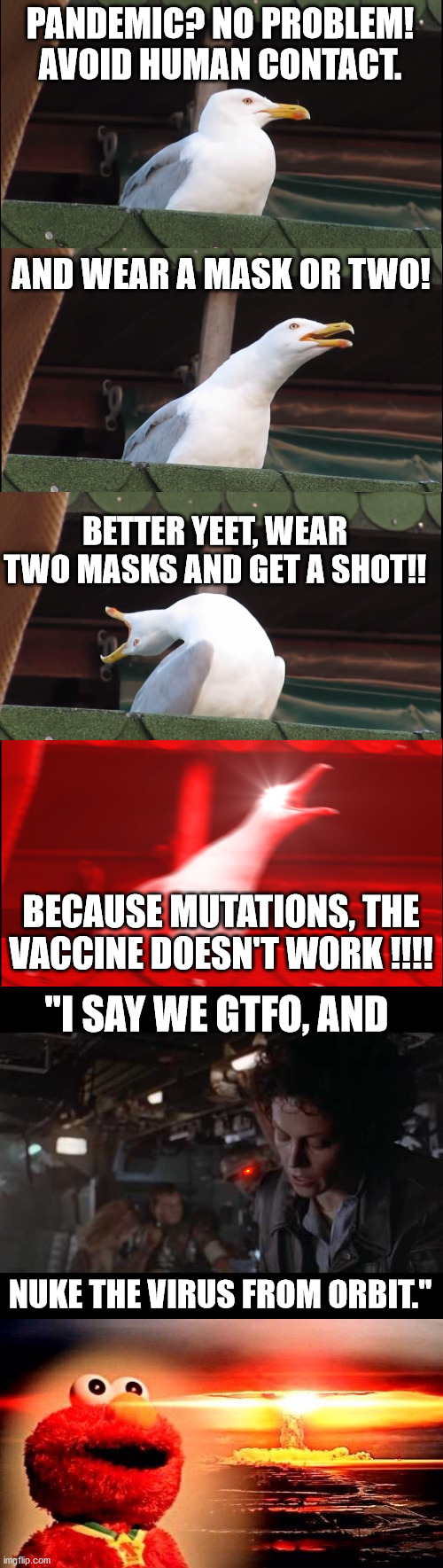 Seagull Says, | PANDEMIC? NO PROBLEM! AVOID HUMAN CONTACT. AND WEAR A MASK OR TWO! BETTER YEET, WEAR TWO MASKS AND GET A SHOT!! BECAUSE MUTATIONS, THE VACCINE DOESN'T WORK !!!! "I SAY WE GTFO, AND; NUKE THE VIRUS FROM ORBIT." | image tagged in memes,inhaling seagull,aliens-ellen ripley-nuke the entire site from orbit,elmo nuclear explosion,covid-19,coronavirus meme | made w/ Imgflip meme maker