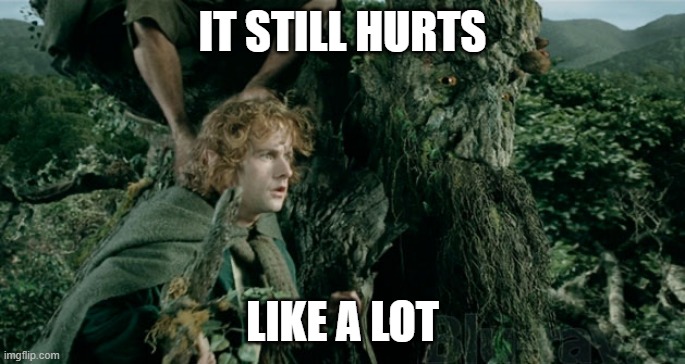 Tree ents | IT STILL HURTS LIKE A LOT | image tagged in tree ents | made w/ Imgflip meme maker