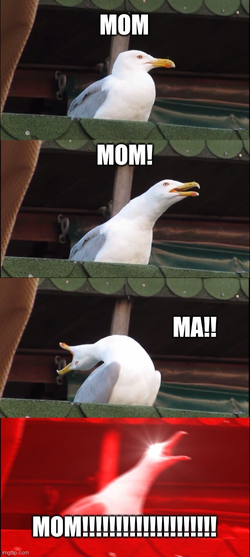 Inhaling Seagull Meme | MOM; MOM! MA!! MOM!!!!!!!!!!!!!!!!!!!! | image tagged in memes,inhaling seagull | made w/ Imgflip meme maker