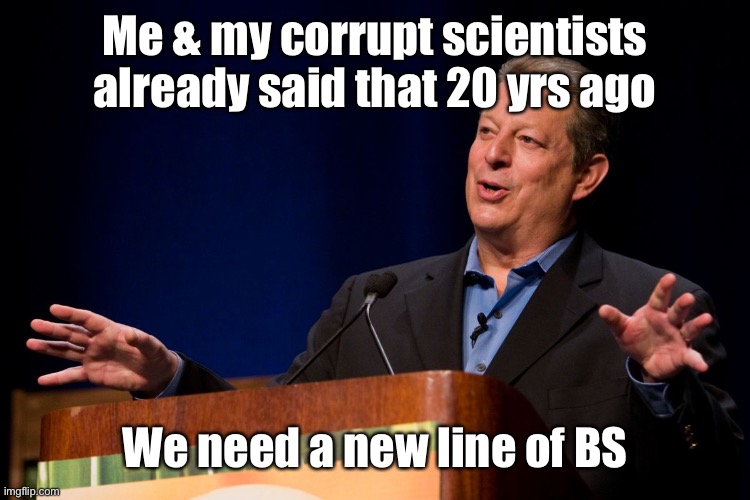 Al Gore | Me & my corrupt scientists already said that 20 yrs ago We need a new line of BS | image tagged in al gore | made w/ Imgflip meme maker