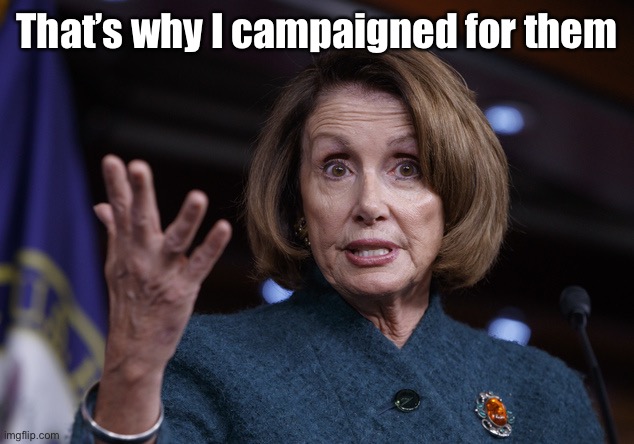 Good old Nancy Pelosi | That’s why I campaigned for them | image tagged in good old nancy pelosi | made w/ Imgflip meme maker