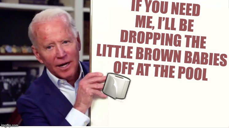 Biden Slidin | IF YOU NEED ME, I’LL BE DROPPING THE LITTLE BROWN BABIES OFF AT THE POOL; 🧻 | image tagged in biden behind his wall | made w/ Imgflip meme maker