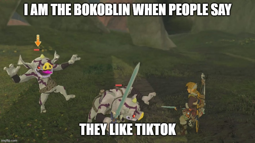 White Bokoblin | I AM THE BOKOBLIN WHEN PEOPLE SAY; THEY LIKE TIKTOK | image tagged in white bokoblin | made w/ Imgflip meme maker