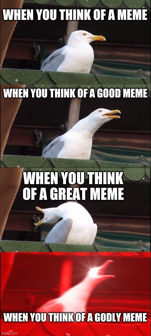 Inhaling Seagull | WHEN YOU THINK OF A MEME; WHEN YOU THINK OF A GOOD MEME; WHEN YOU THINK OF A GREAT MEME; WHEN YOU THINK OF A GODLY MEME | image tagged in memes,inhaling seagull | made w/ Imgflip meme maker