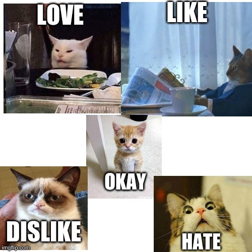 Cats Reaction TO Your Opinons Of Cats | LIKE; LOVE; OKAY; DISLIKE; HATE | image tagged in memes,blank transparent square | made w/ Imgflip meme maker