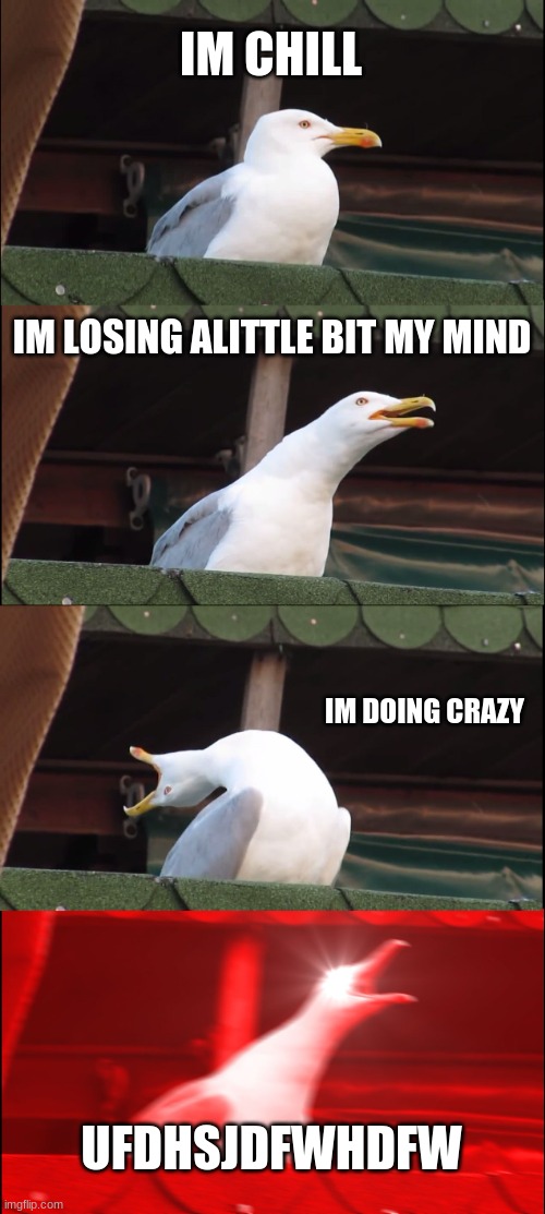 CRAZY | IM CHILL; IM LOSING ALITTLE BIT MY MIND; IM DOING CRAZY; UFDHSJDFWHDFW | image tagged in memes,inhaling seagull | made w/ Imgflip meme maker