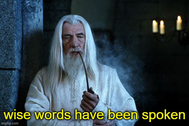 Wise words are spoken  | wise words have been spoken | image tagged in wise words are spoken | made w/ Imgflip meme maker