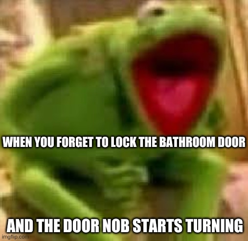 yes?️??️ | WHEN YOU FORGET TO LOCK THE BATHROOM DOOR; AND THE DOOR NOB STARTS TURNING | image tagged in kirmit,ZeducationSubmissions | made w/ Imgflip meme maker