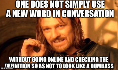 One Does Not Simply Meme | ONE DOES NOT SIMPLY USE A NEW WORD IN CONVERSATION  WITHOUT GOING ONLINE AND CHECKING THE DEFINITION SO AS NOT TO LOOK LIKE A DUMBASS | image tagged in memes,one does not simply | made w/ Imgflip meme maker
