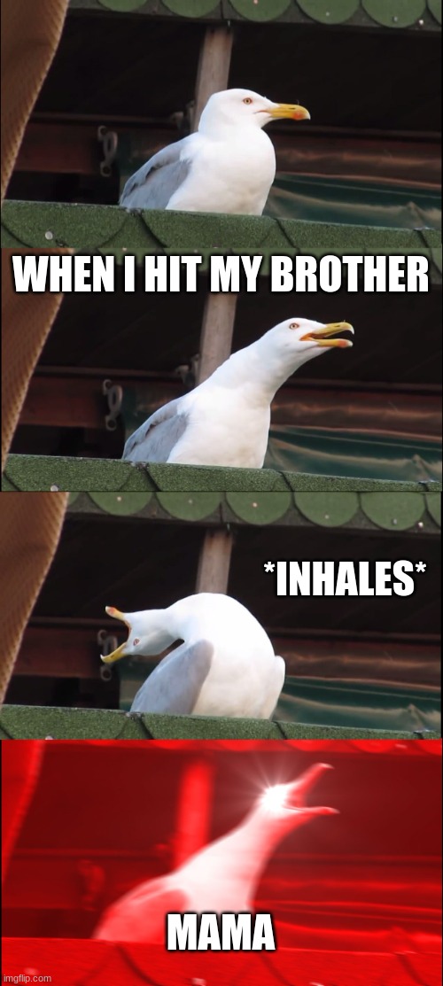 Inhaling Seagull Meme | WHEN I HIT MY BROTHER; *INHALES*; MAMA | image tagged in memes,inhaling seagull | made w/ Imgflip meme maker